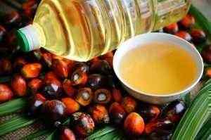 India reanuda la compra de aceite de palma de Malasia ya que Kuala Lumpur ofrecio descuentos