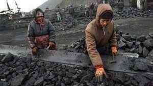 China’s coal imports fall 19% on November