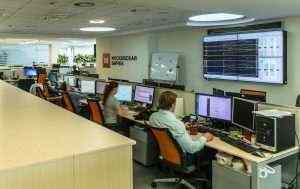 digital collectibles